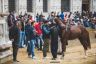Palio Straordinario: la fotogallery delle Prove di Addestramento Mattutine